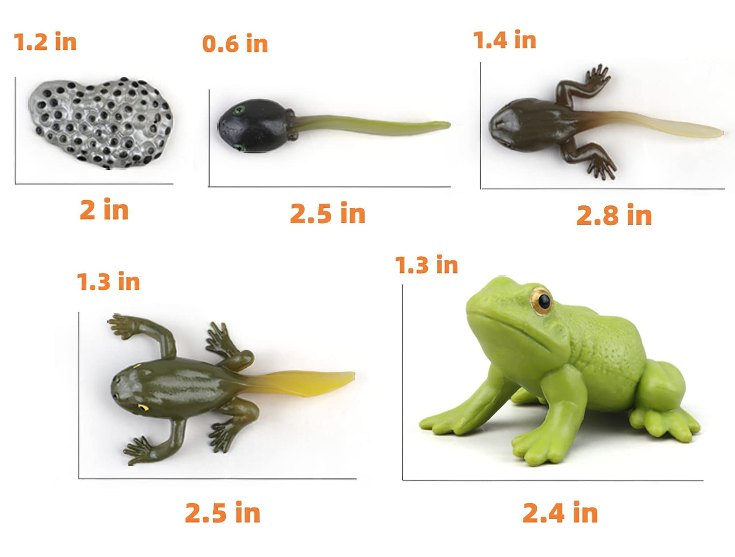 MIKNEKE Frog Life Cycle with Flash Cards – Montessori Animal Matching Toy for Kids