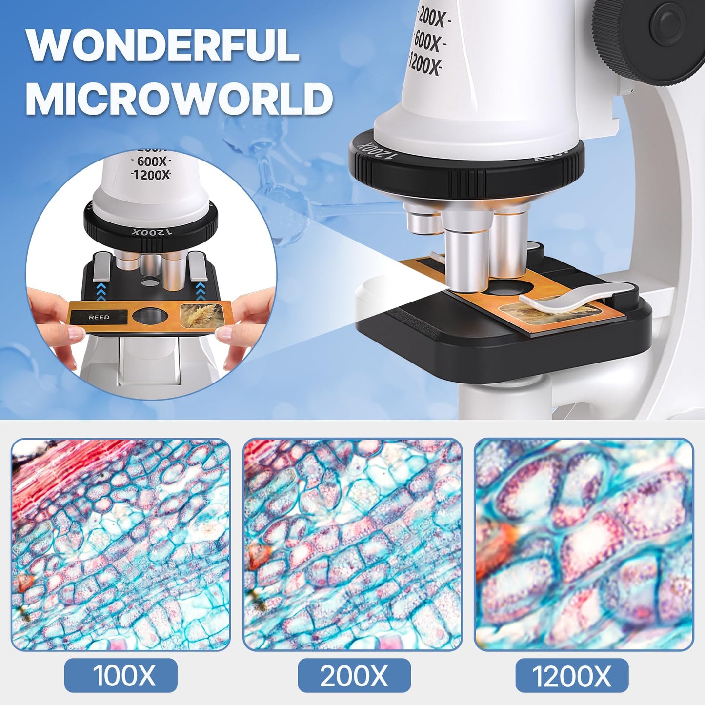 Mileonaim 61-Piece Kids Microscope Kit | 100X-1200X Magnification with LED Light