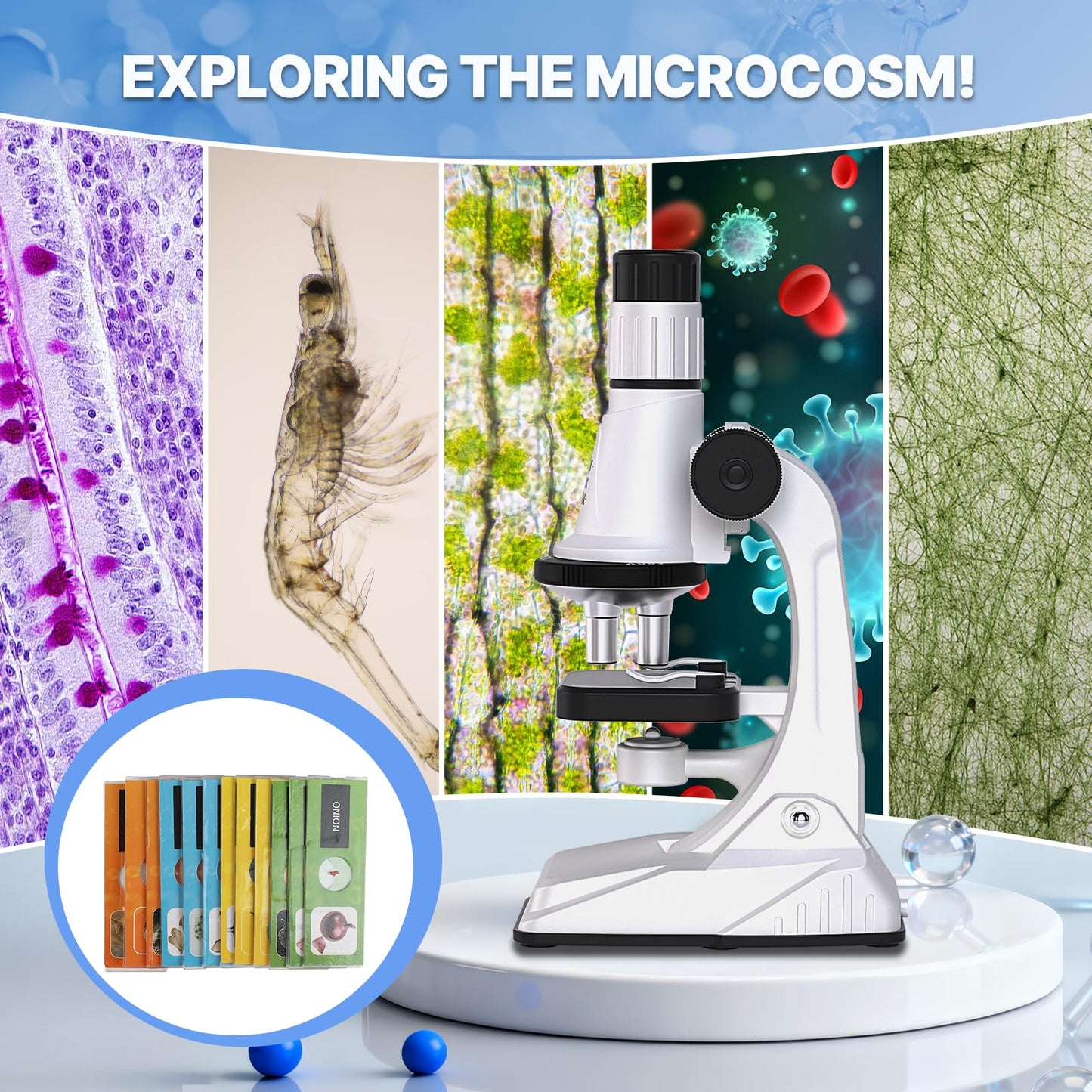 Mileonaim 61-Piece Kids Microscope Kit | 100X-1200X Magnification with LED Light