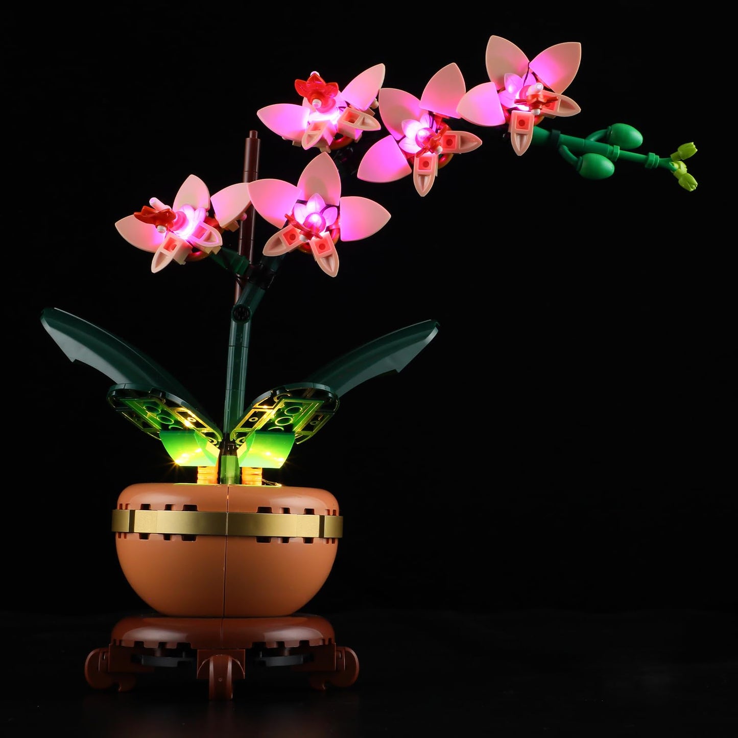 Mililier LED Light Kit for Lego 10343 Mini Orchid – Compatible Lighting for Lego 10343 Set