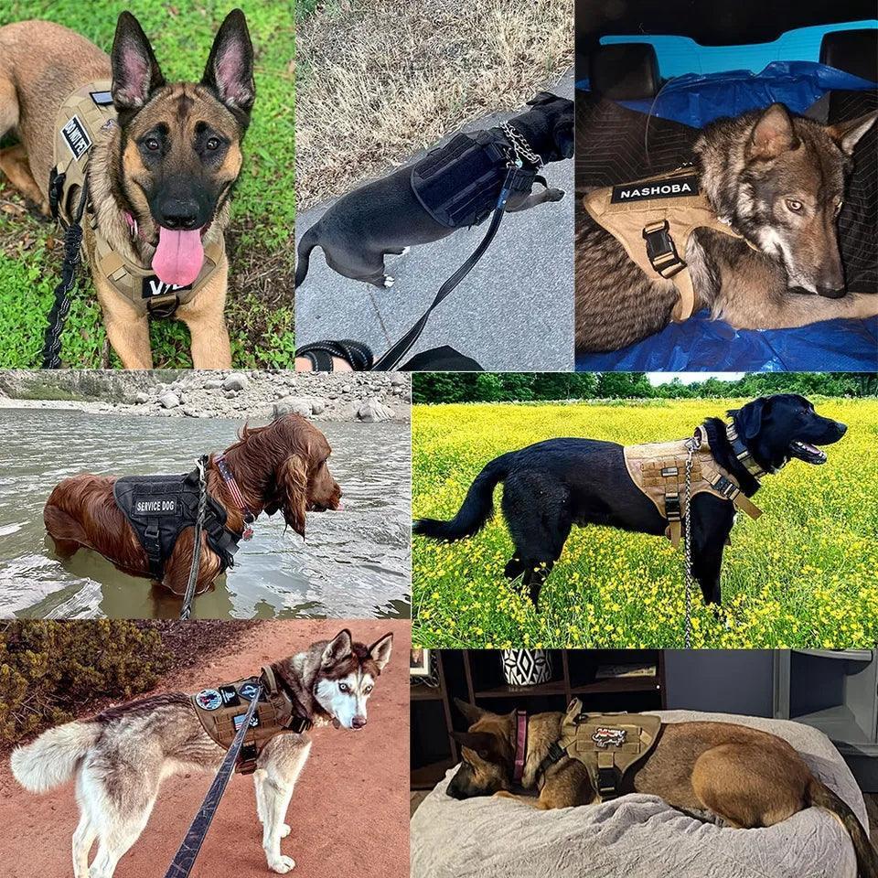Military Grade Tactical Dog Harness Set Deal
