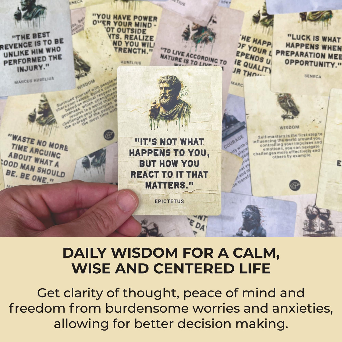 MindMint Daily Stoicism Affirmation Cards – 50 Quotes, Tin Box & Wood Stand (Desk Decor & Motivation)