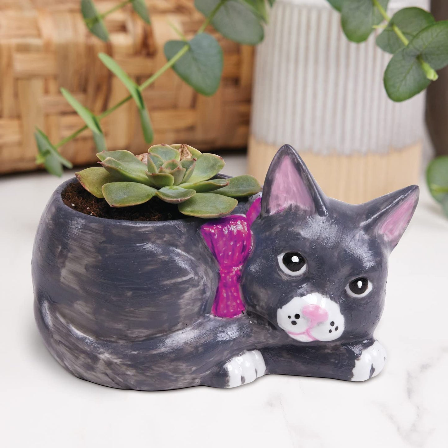 MindWare Paint Your Own Cat Dish – Ceramic Painting Kit with 12 Paints & 2 Brushes