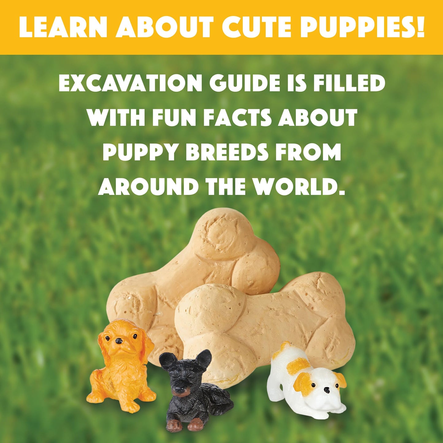 MindWare Dig It Up! Puppies Excavation Kit – Educational Toys for Kids 4+