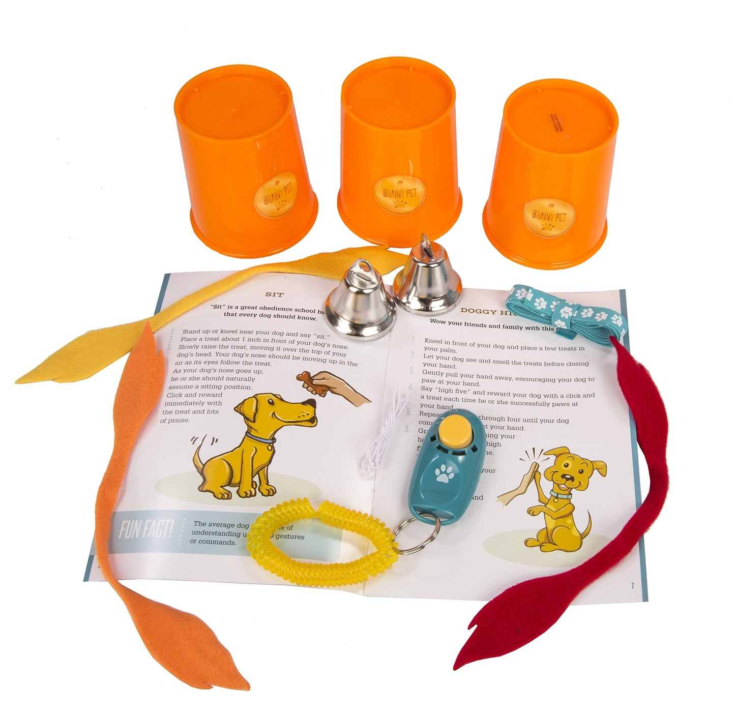 MindWare Make Your Own Doggy Day Camp – Deluxe Outdoor Activity Kit for Active Dogs