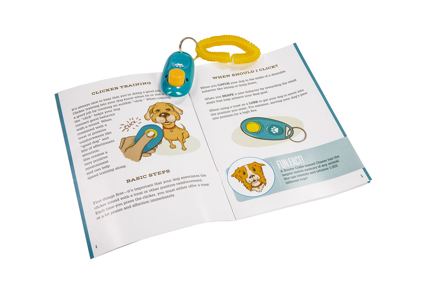 MindWare Make Your Own Doggy Day Camp – Deluxe Outdoor Activity Kit for Active Dogs