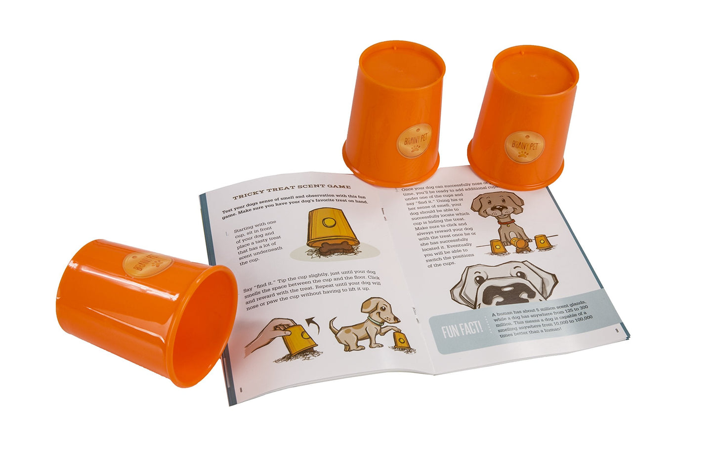 MindWare Make Your Own Doggy Day Camp – Deluxe Outdoor Activity Kit for Active Dogs