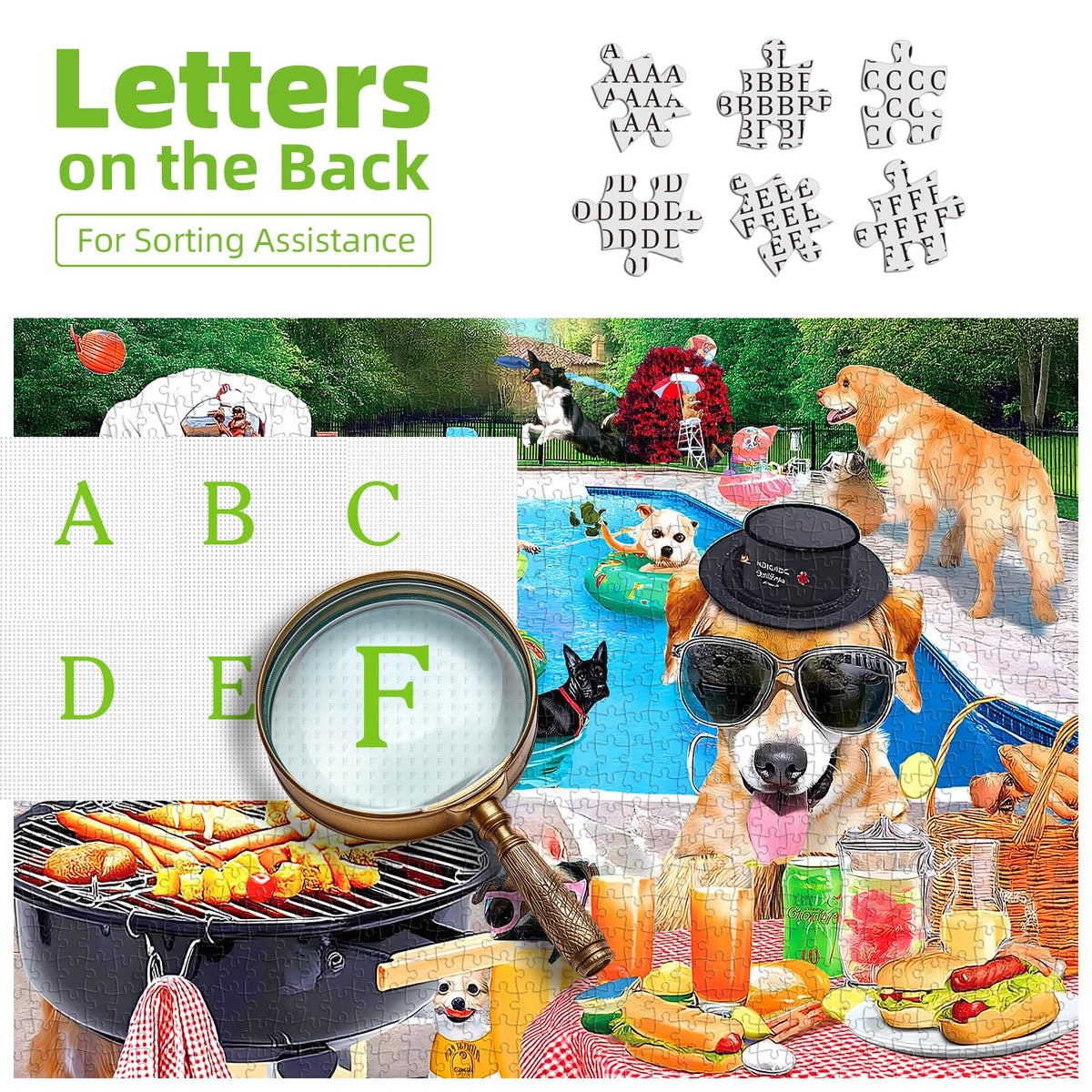 MINIWAN Dog Pool Party 500-Piece Puzzle – Summer Fun Jigsaw with Back-Labeled Pieces