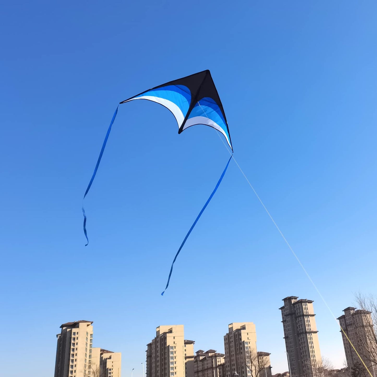 Mint's Colorful Life Delta Kite – Easy to Fly Blue Kite for All Ages