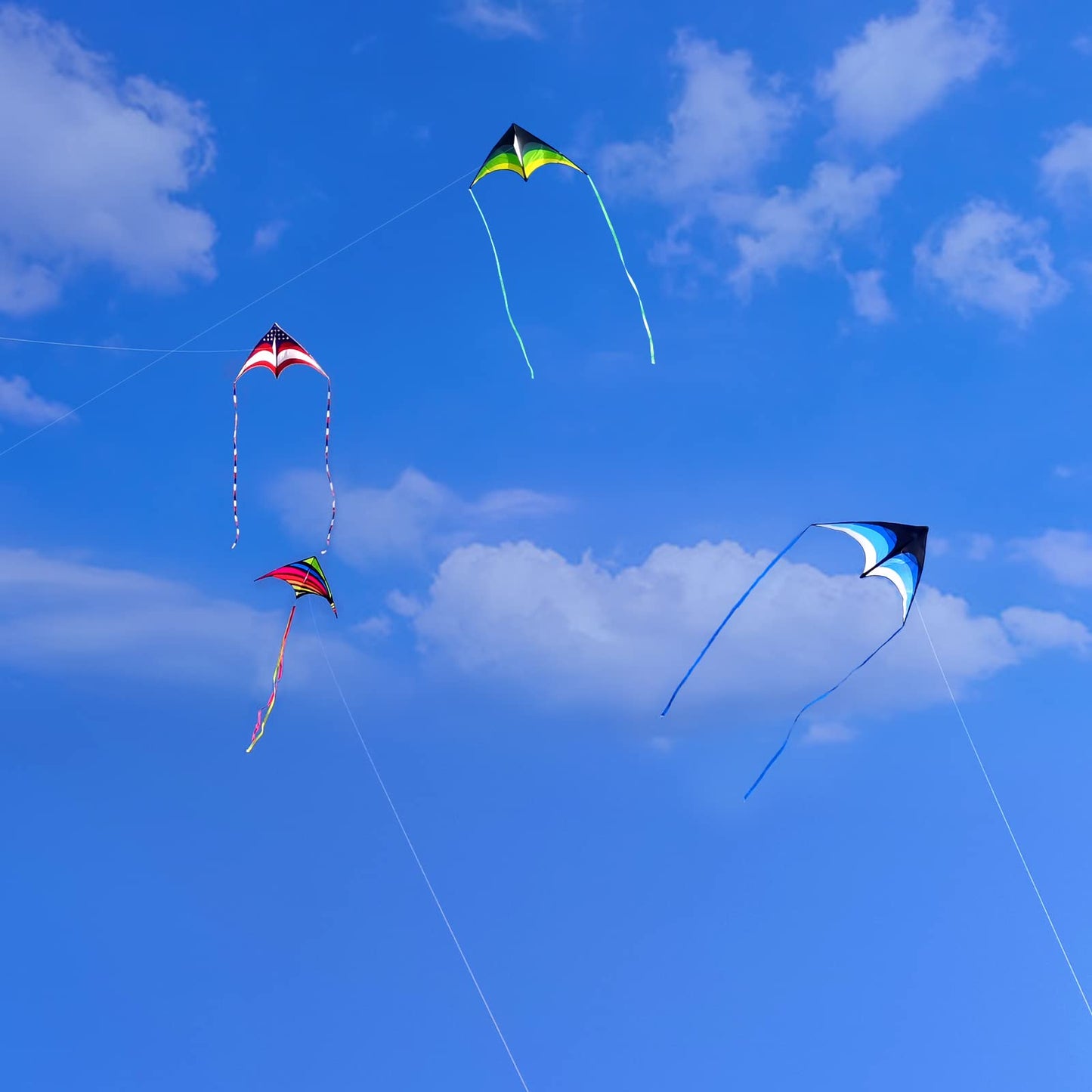 Mint's Colorful Life Delta Kite – Easy to Fly Blue Kite for All Ages