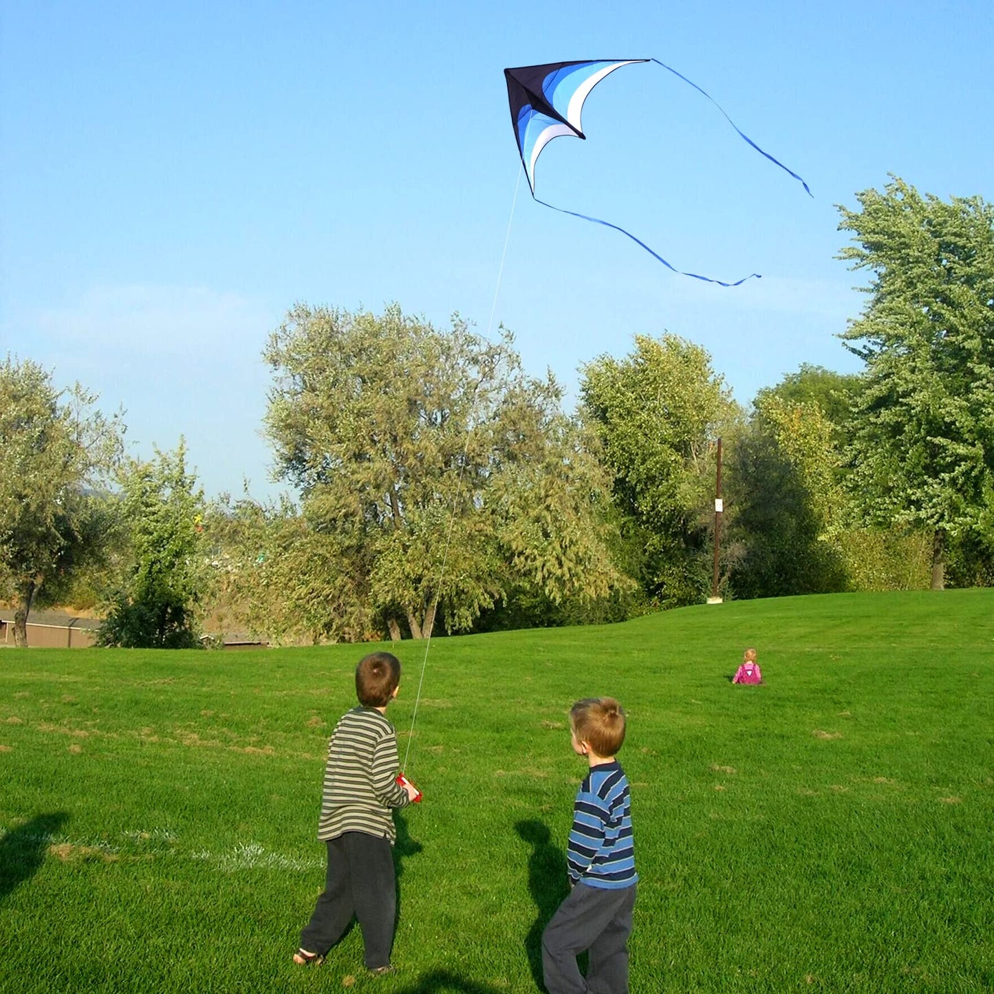 Mint's Colorful Life Delta Kite – Easy to Fly Blue Kite for All Ages