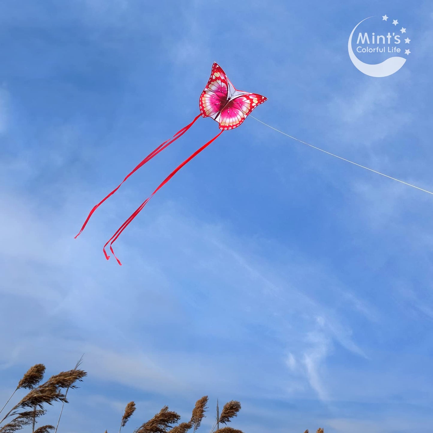 Mint's Colorful Life Butterfly Kite Pink – Easy to Fly with 300ft Line