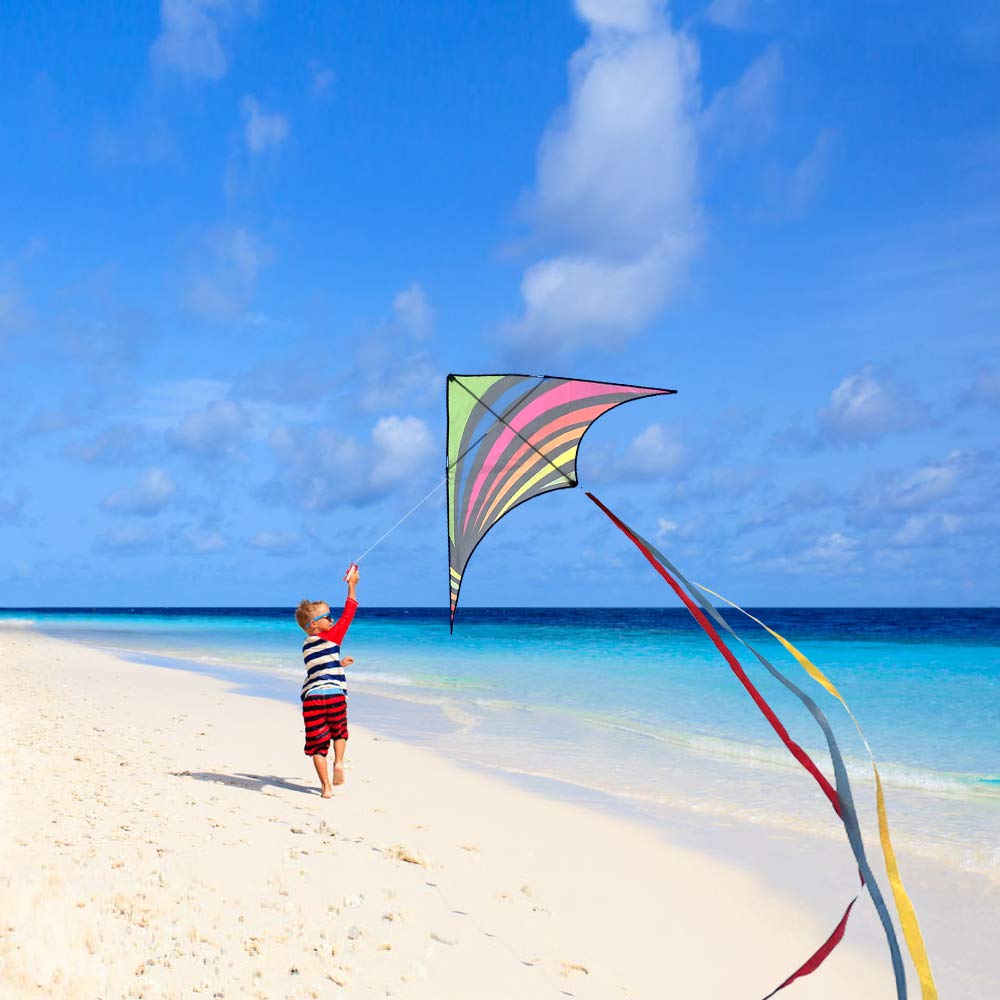 Mint's Colorful Life Delta Kite – Easy-Fly Rainbow Kite with 3 Ribbons & 300ft String