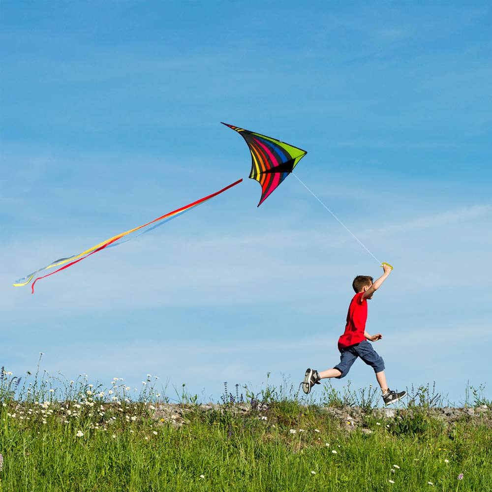 Mint's Colorful Life Delta Kite – Easy-Fly Rainbow Kite with 3 Ribbons & 300ft String