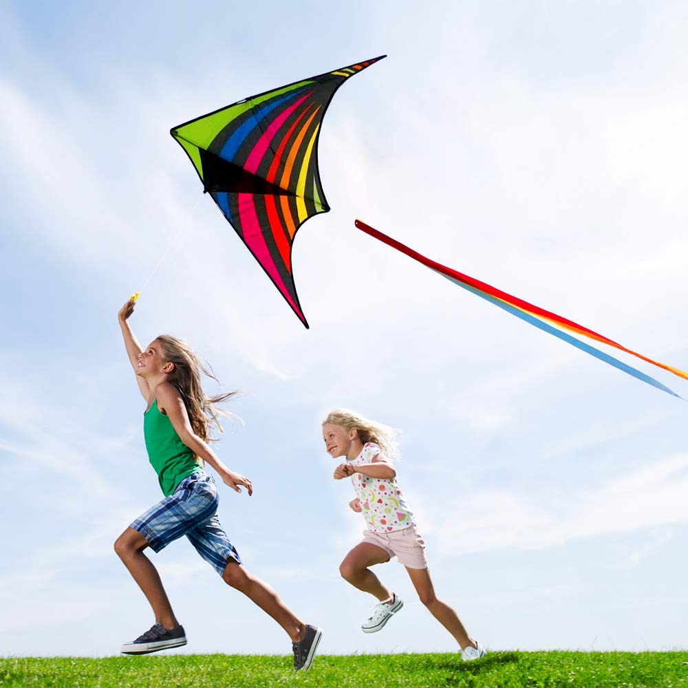 Mint's Colorful Life Delta Kite – Easy-Fly Rainbow Kite with 3 Ribbons & 300ft String