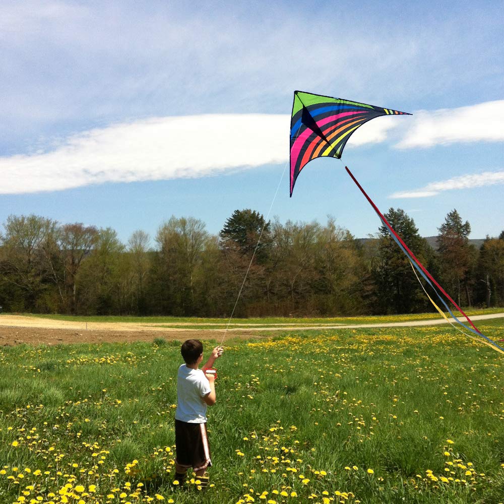 Mint's Colorful Life Delta Kite – Easy-Fly Rainbow Kite with 3 Ribbons & 300ft String