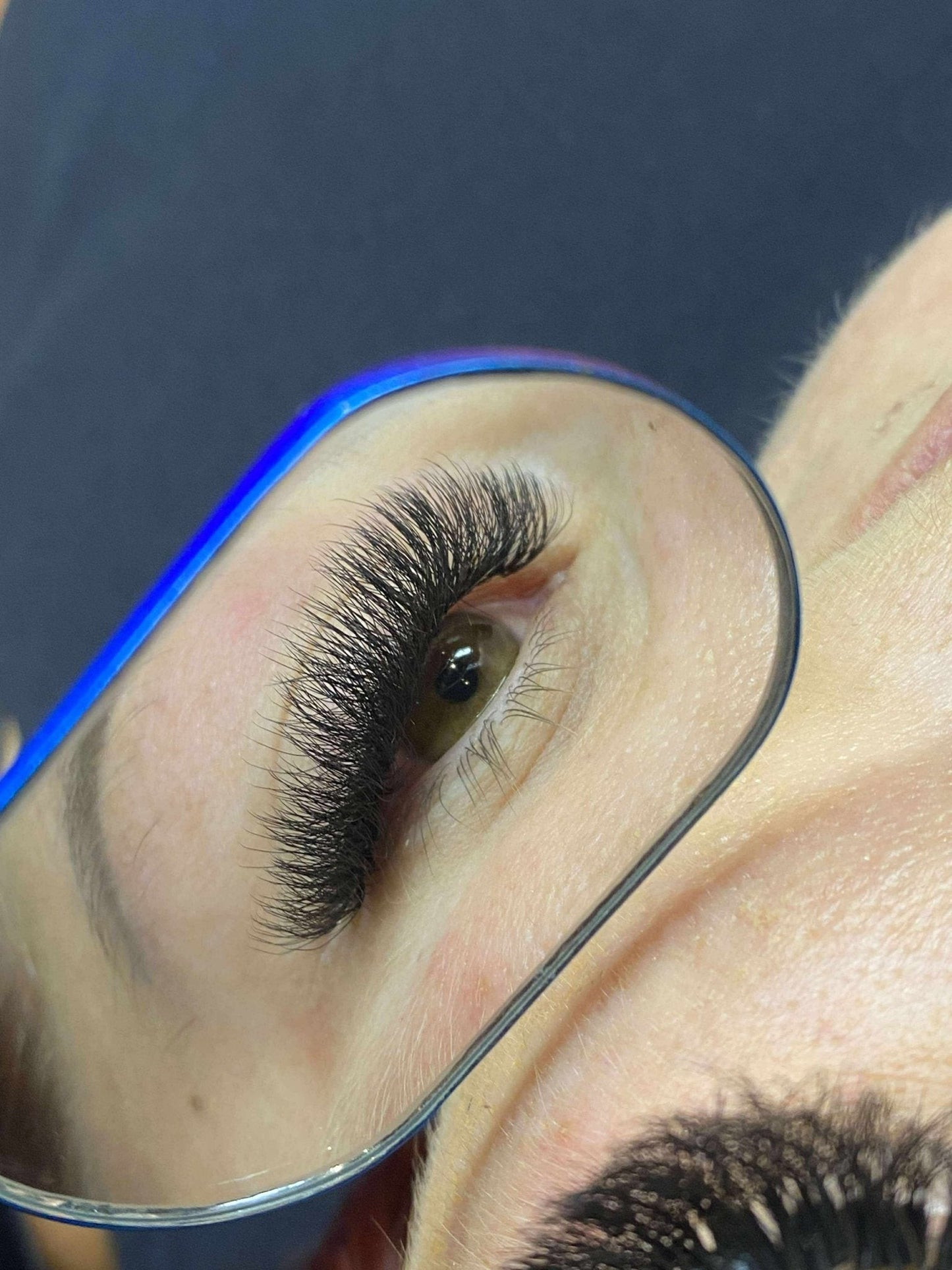 8D Clover Lash Mixed Tray (16 Rows)