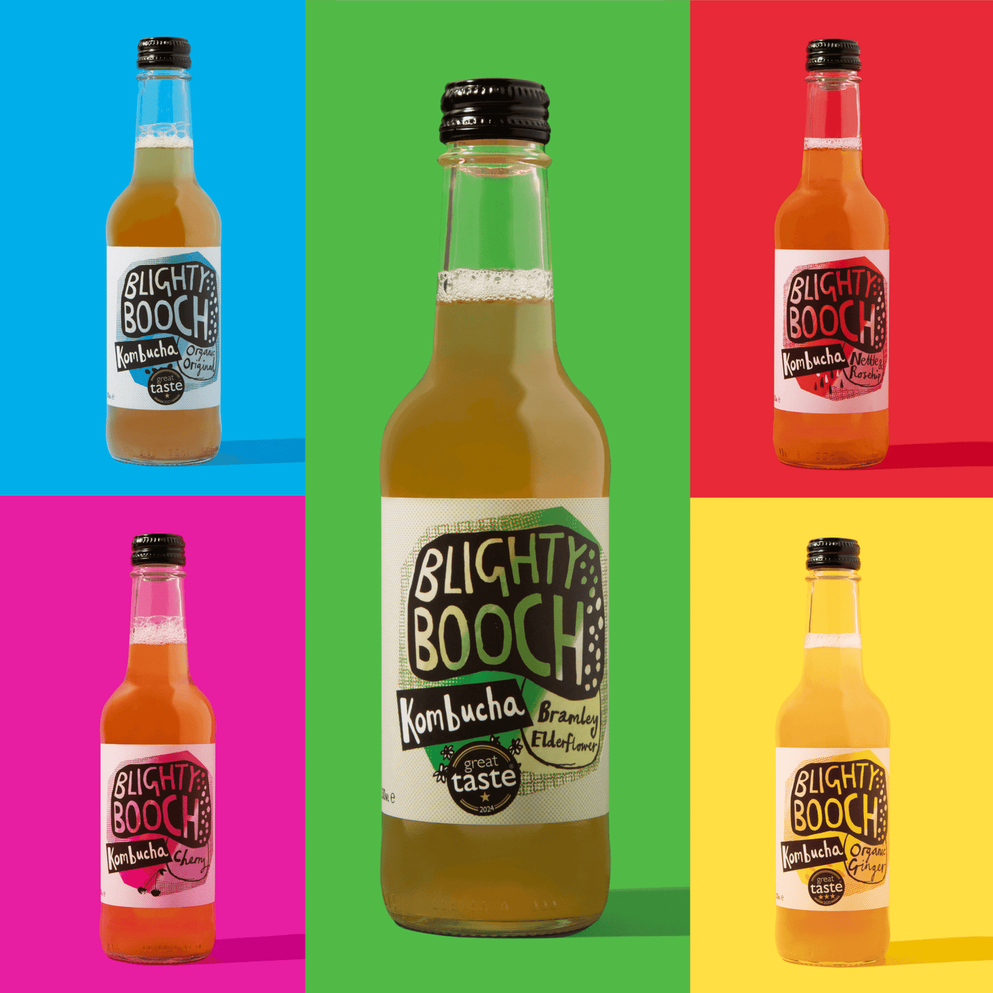 Mixed Kombucha Case (12 or 24 Pack)