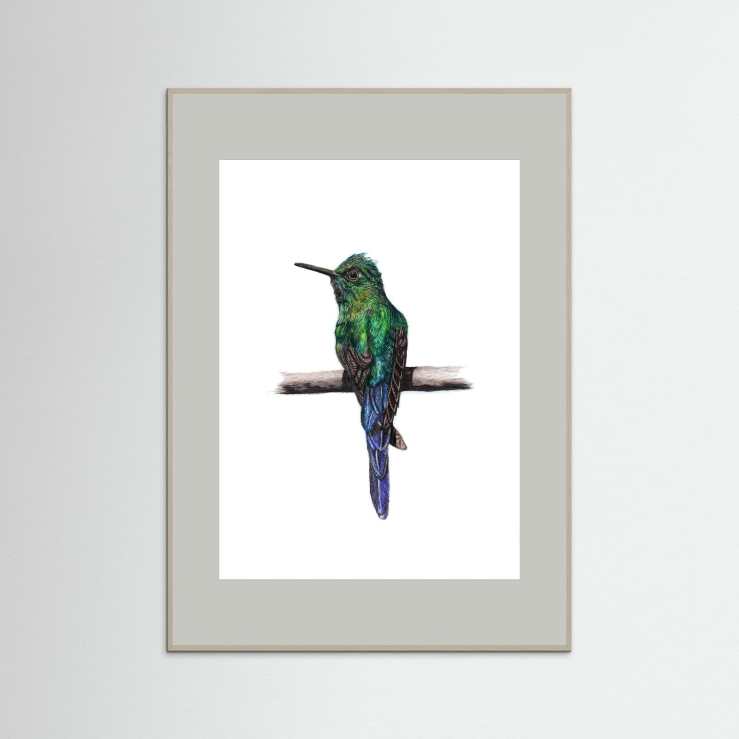Hummingbird Wall Art Print – Fine Art Wildlife Illustration