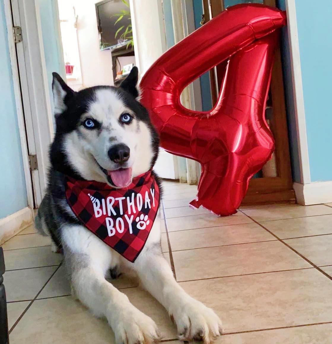 Mluchee 40-Inch Number 8 Balloon – Red Birthday & Event Decor