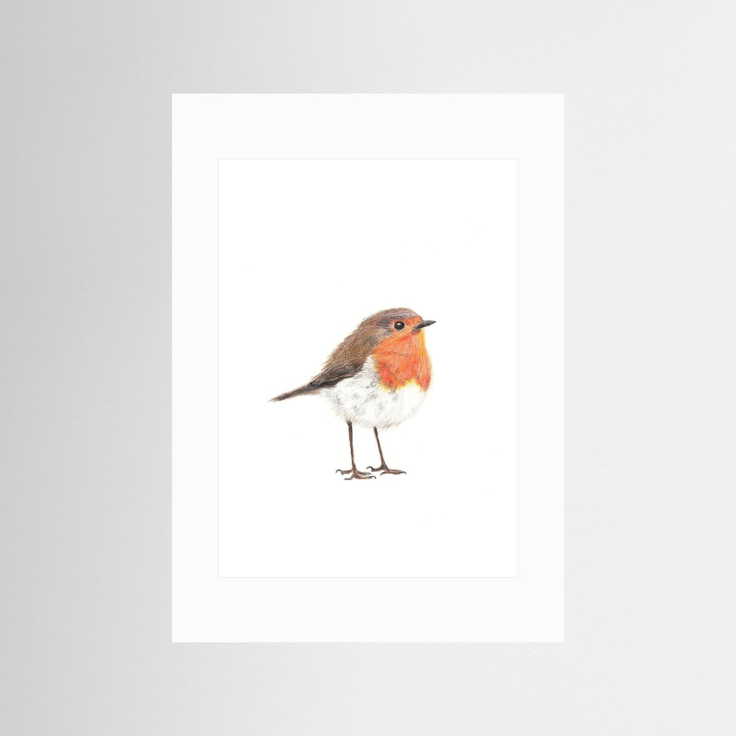 Robin Woodland Art Print