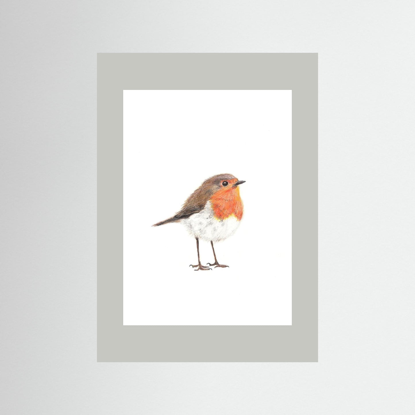 Robin Woodland Art Print