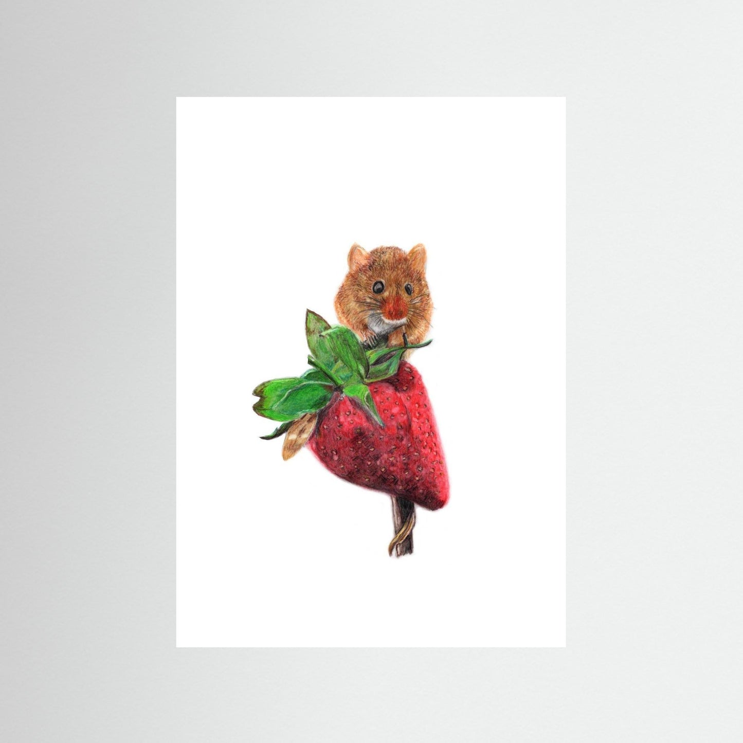 Field Mouse Woodland Art Print