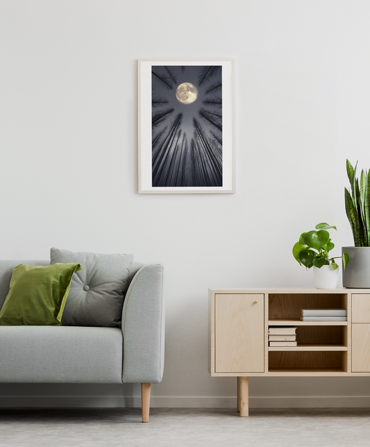 Moonlit Forest Wall Art – Ethereal Night Landscape