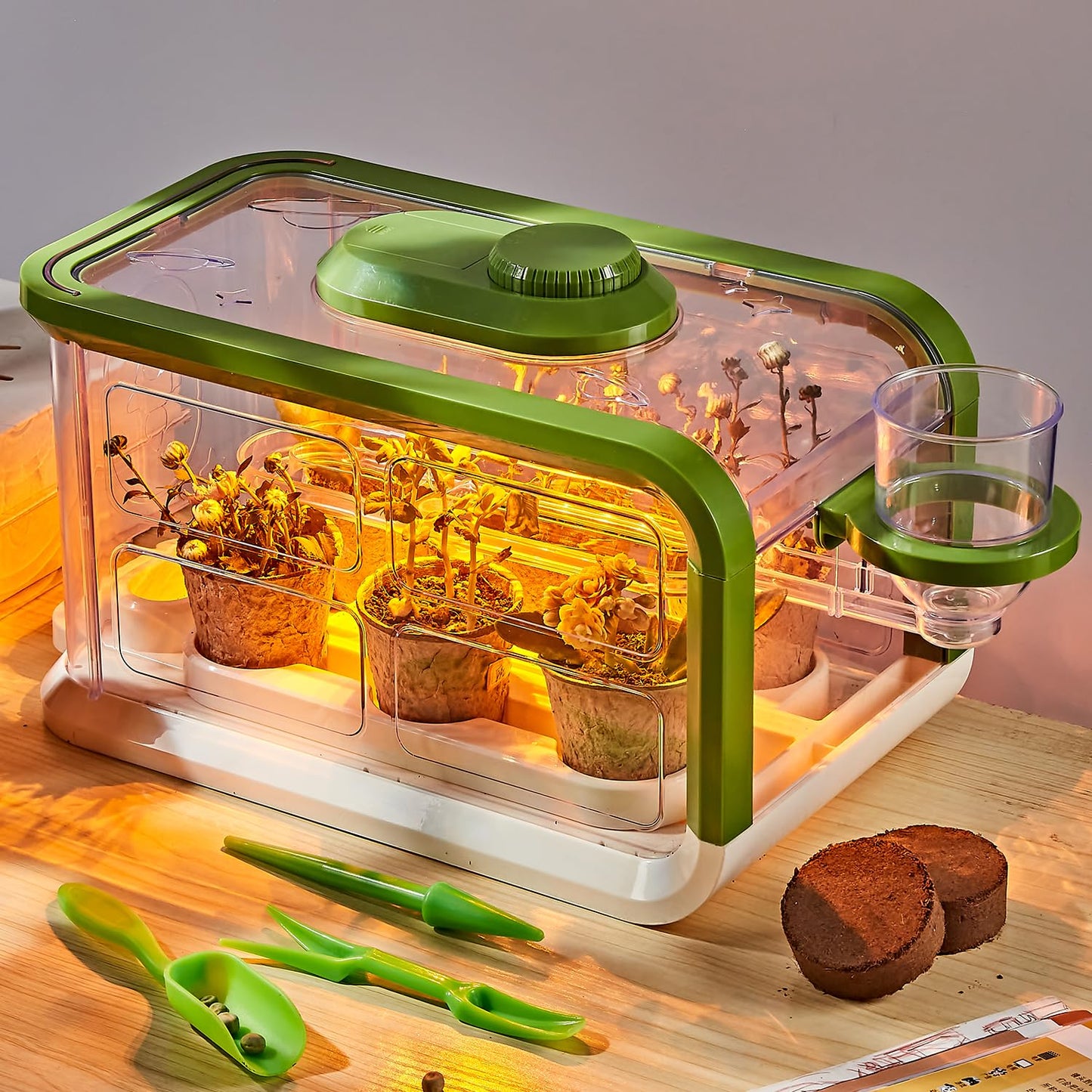 Mostop Kids Plant Growing Kit — Greenhouse with Drip Irrigation & Grow Lights