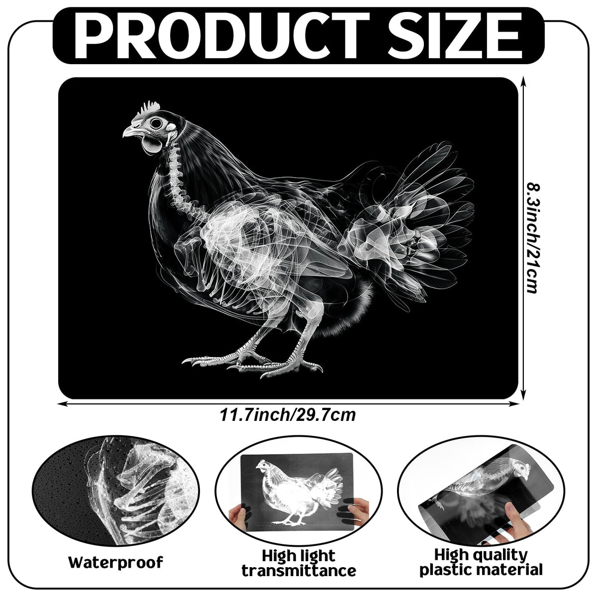 Motiskyy 12 Pcs Animal X-Ray Flash Cards for Farm Animals | Educational Science Kit