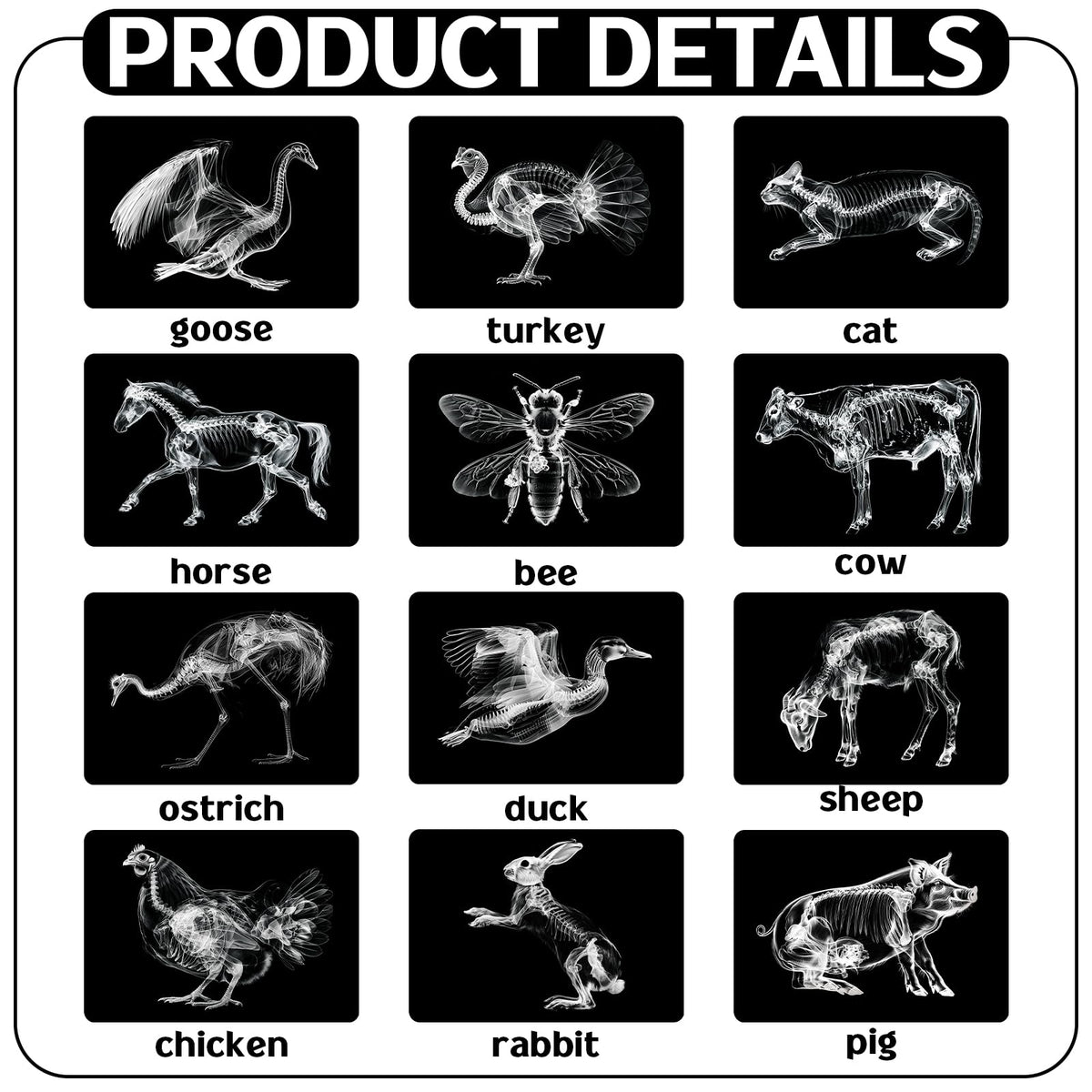 Motiskyy 12 Pcs Animal X-Ray Flash Cards for Farm Animals | Educational Science Kit