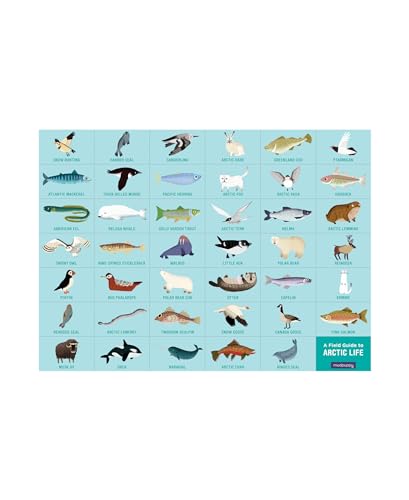 Mudpuppy Arctic Life Search & Find Puzzle – 64 Pieces, 23 by 15.5 inches, for Kids 4-7