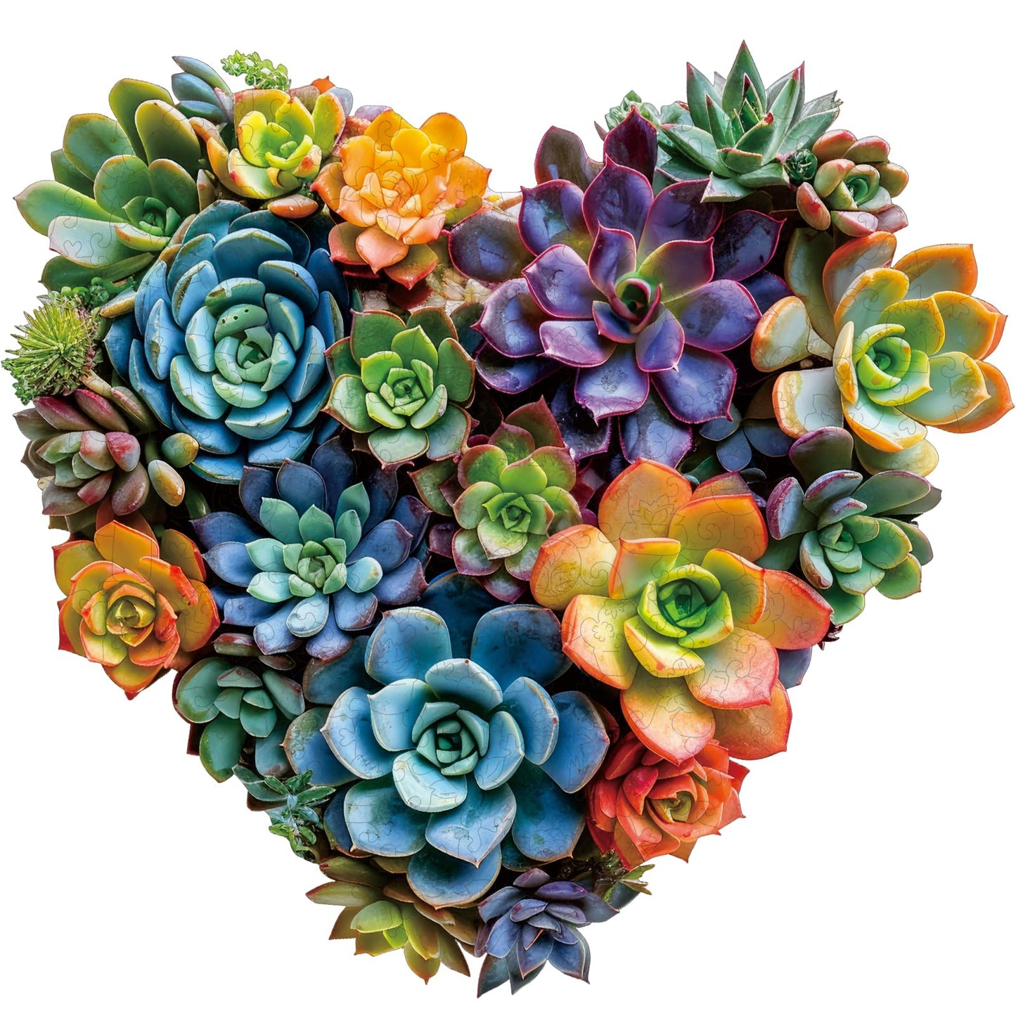 Mys Aurora 500-Piece Heart Succulent Wooden Puzzle – Unique Shaped Jigsaw for Adults & Kids, 17.5in x 16.7in