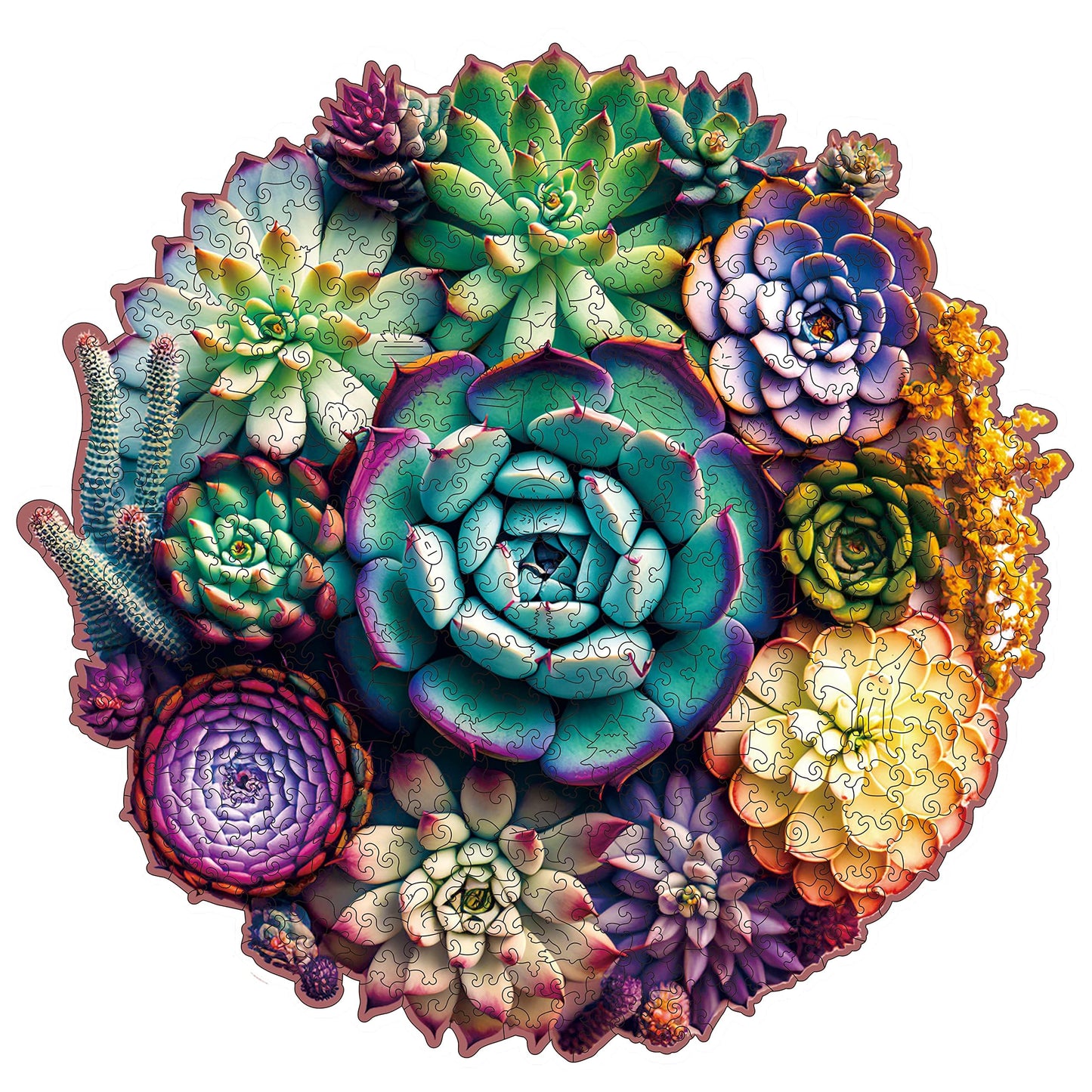 Mys Aurora 1000-Piece Wooden Puzzle – Mandala Succulent Plants, Unique Shape (23.4 x 22.6 in)