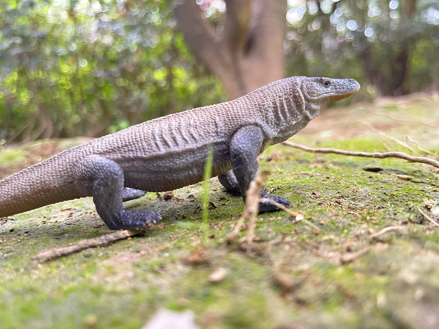 NAKIMO Komodo Dragon Figurine – Realistic Lizard Toy for Decor & Education