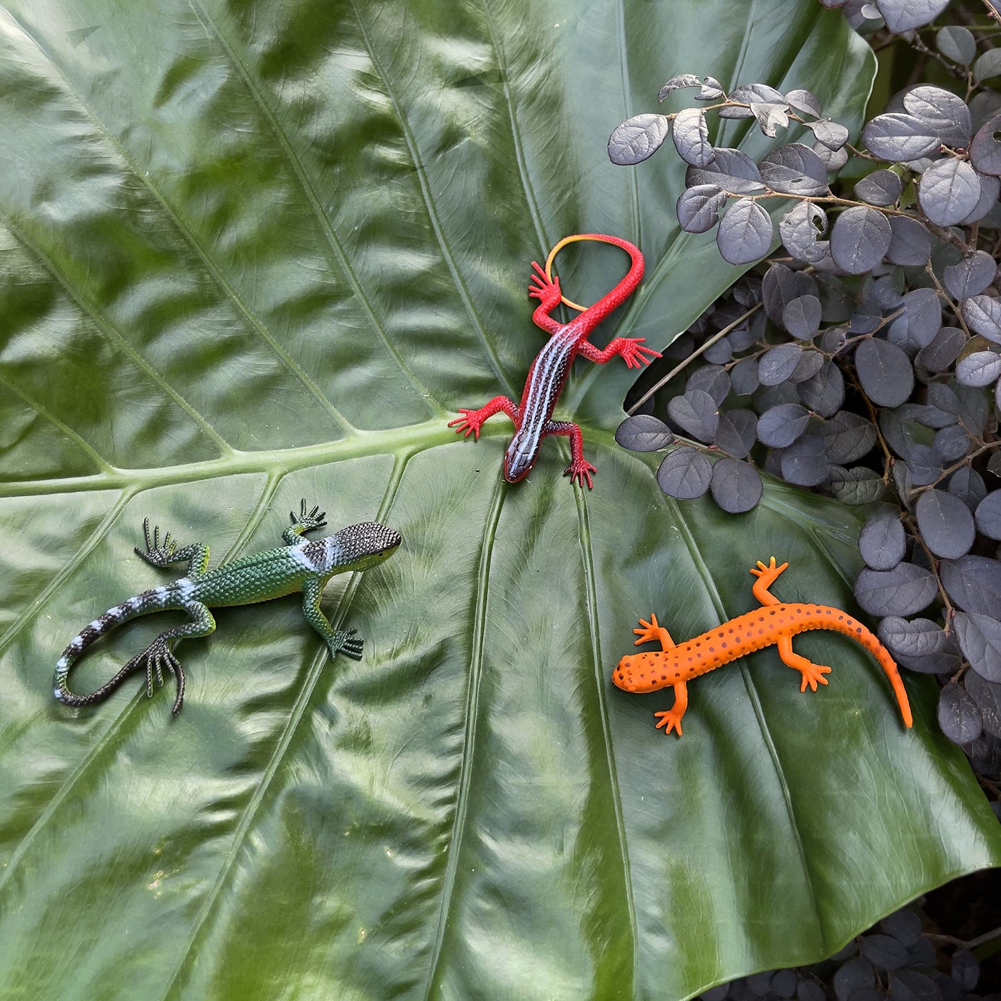 NAKIMO 12Pcs Plastic Lizard Toys – Realistic Reptile Figures for Halloween, Pranks & Learning
