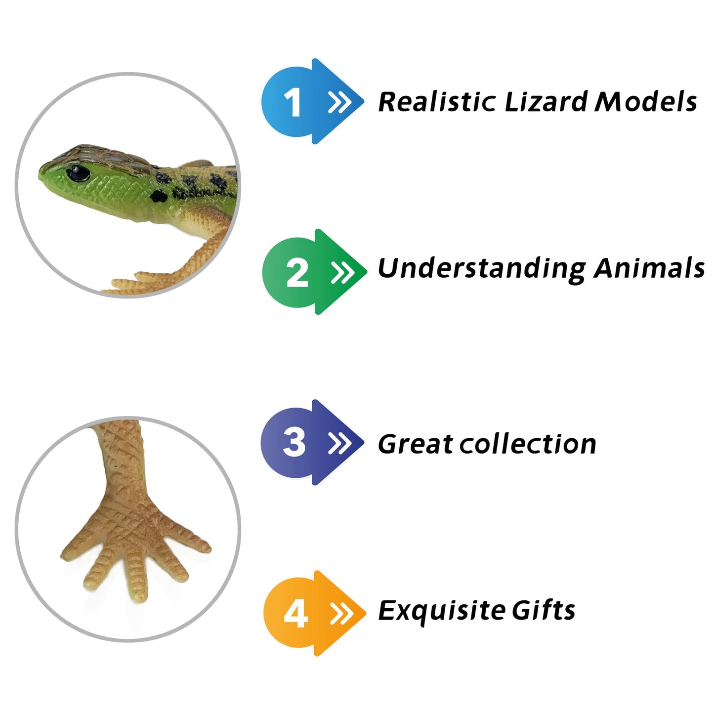 NAKIMO Plastic Lizard Toys – Realistic Lizard Figurine for Cake Decoration, Pranks & Education | Set A