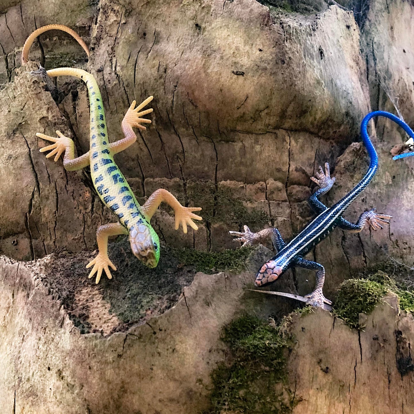 NAKIMO Plastic Lizard Toys – Realistic Lizard Figurine for Cake Decoration, Pranks & Education | Set A