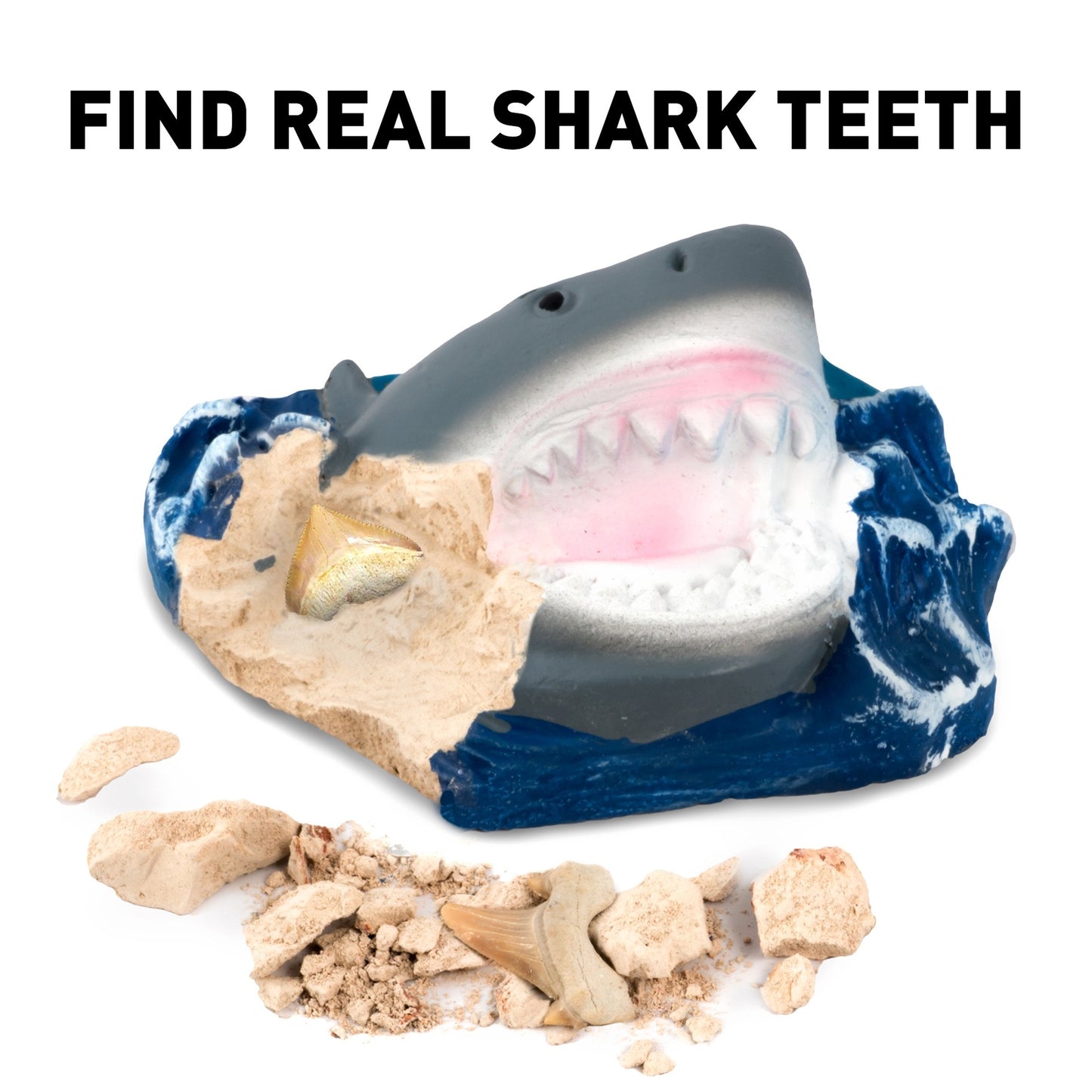 National Geographic Shark Teeth Dig Kit – Fossils, Archaeology & Marine Biology for Kids