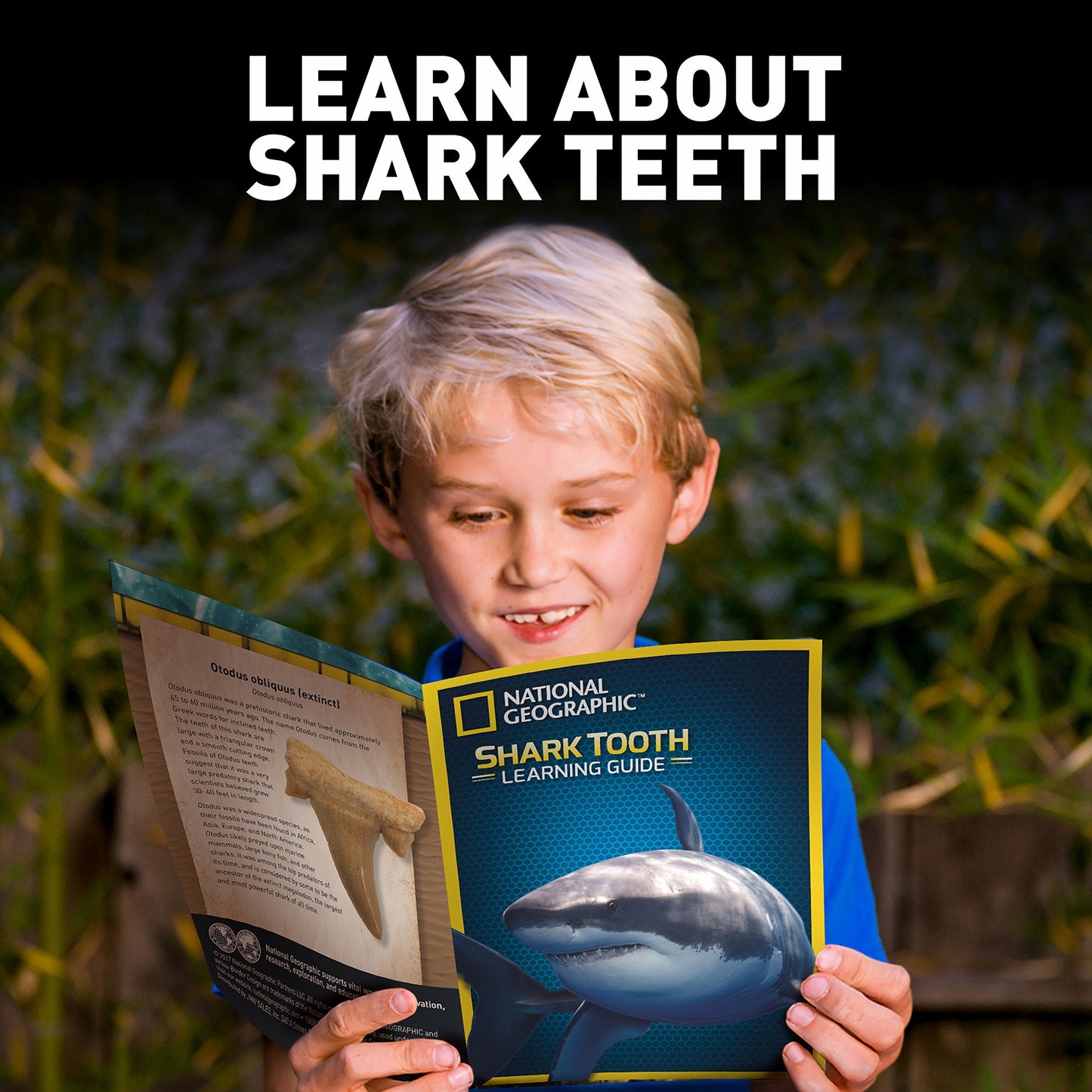 National Geographic Shark Teeth Dig Kit – Fossils, Archaeology & Marine Biology for Kids