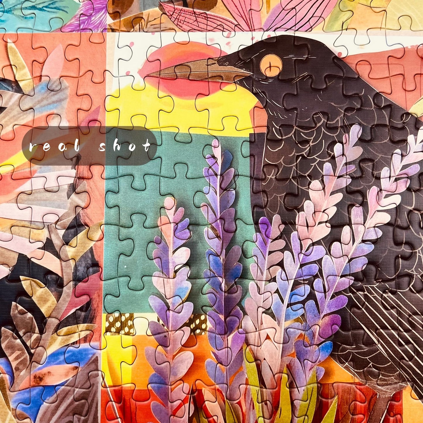 Naturelish 1000 Piece Jigsaw Puzzle for Adults – Colorful Cut-Paper Birds, 24 x 24 in
