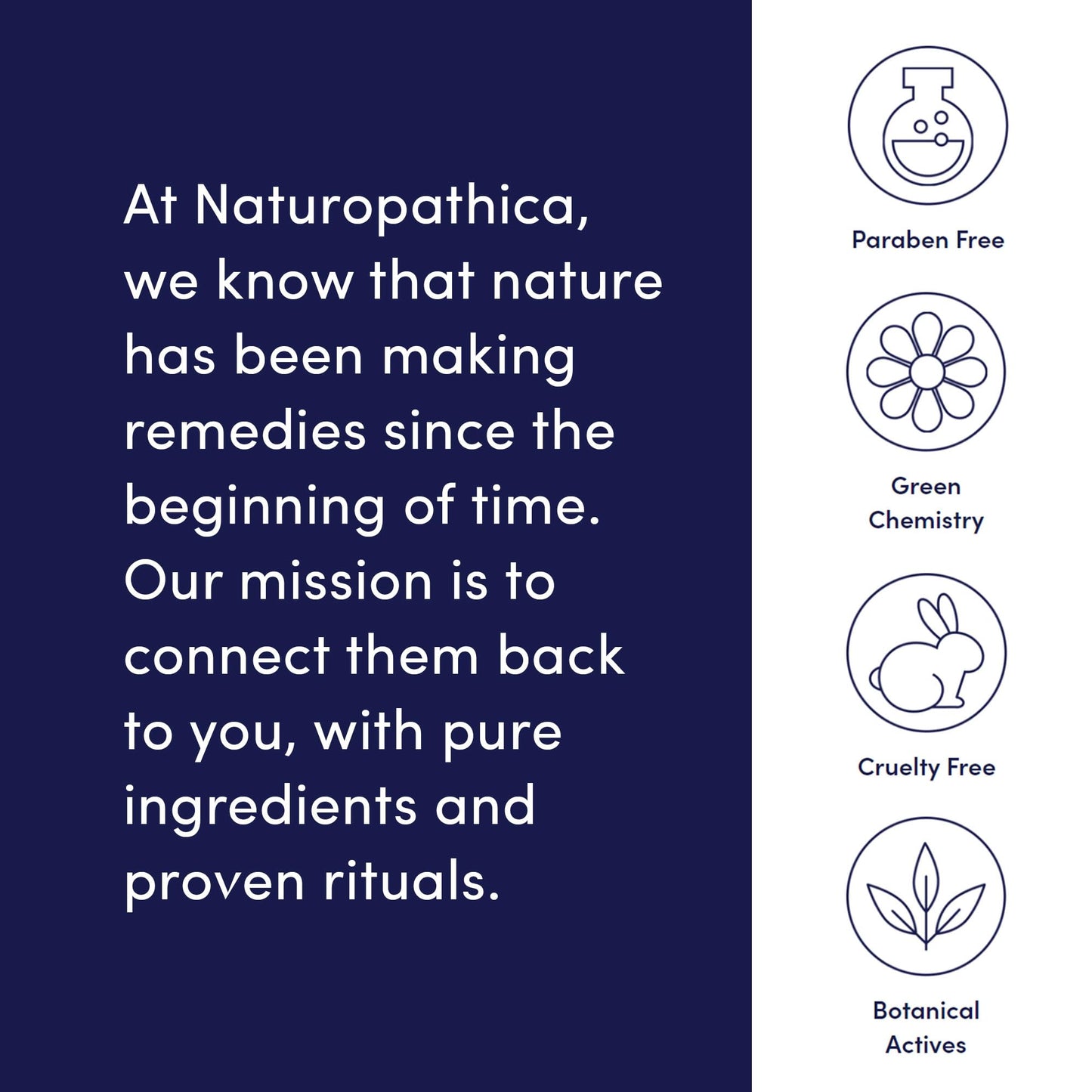 Naturopathica Rosehip Seed & Immortelle Regenerating Facial Oil | Daily Face Oil for All Skin Types | 1.18 fl oz
