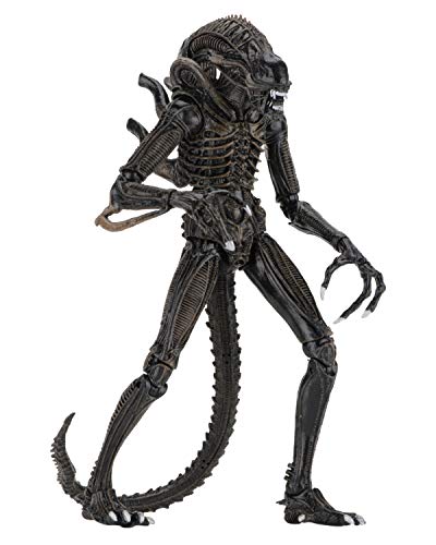 NECA Alien Ultimate Warrior Brown Alien 7-Inch Scale Action Figure (1986) | 9+ in Tall, 30+ Points Articulation