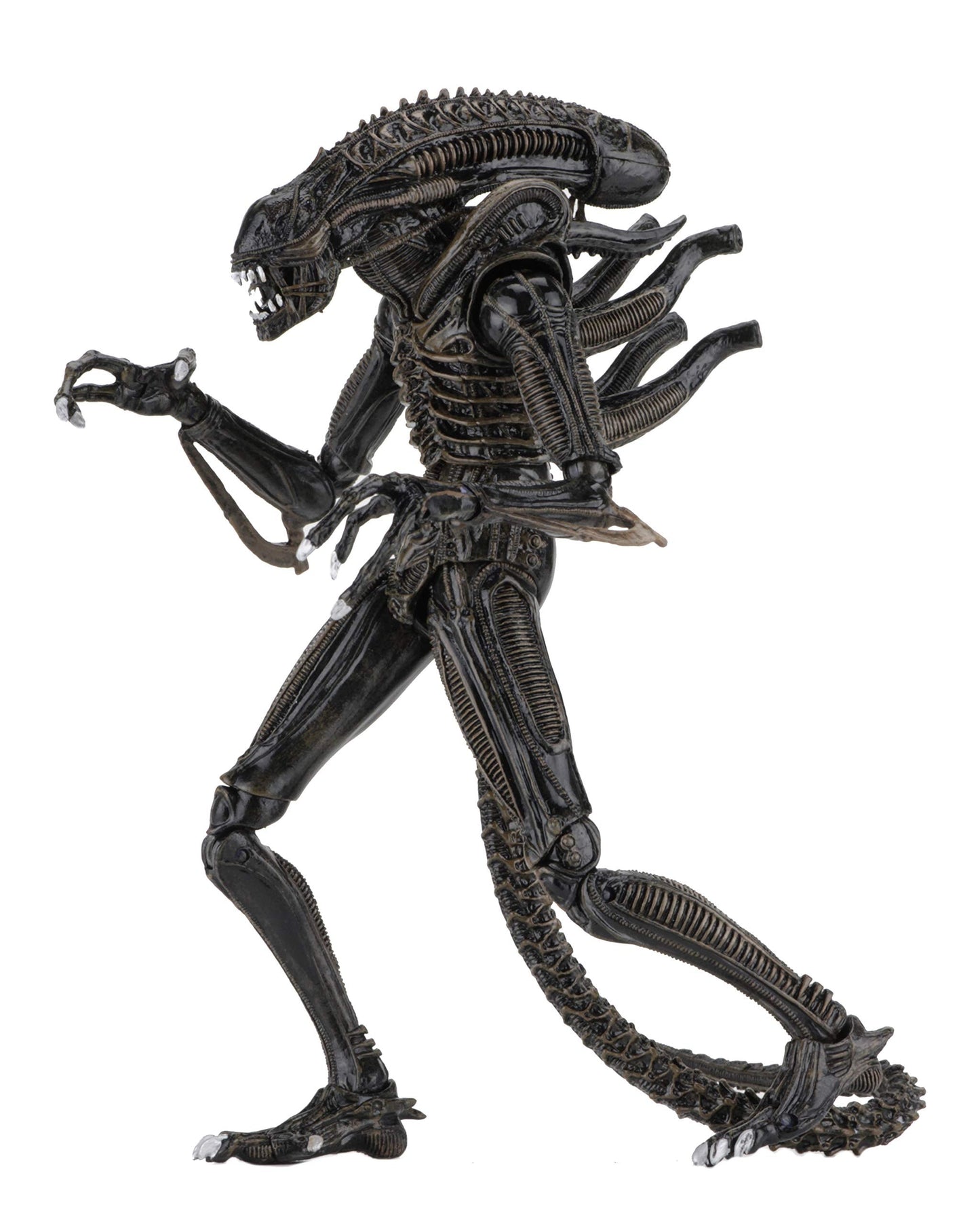 NECA Alien Ultimate Warrior Brown Alien 7-Inch Scale Action Figure (1986) | 9+ in Tall, 30+ Points Articulation