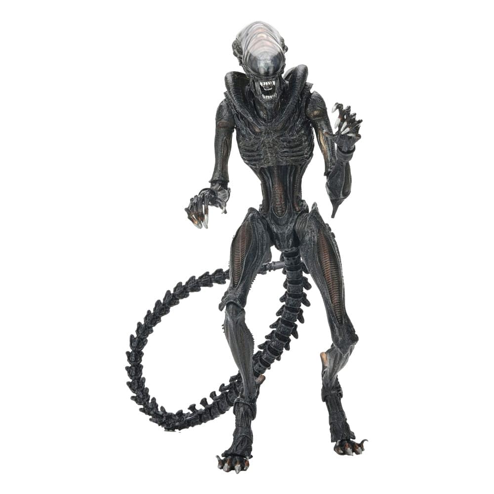 NECA Xenomorph Alien Romulus Action Figure 18 cm – Collectible Figure