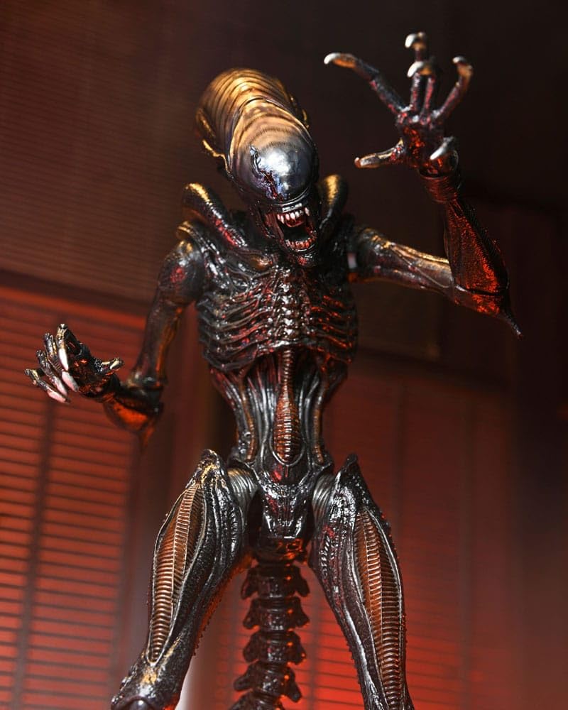 NECA Xenomorph Alien Romulus Action Figure 18 cm – Collectible Figure