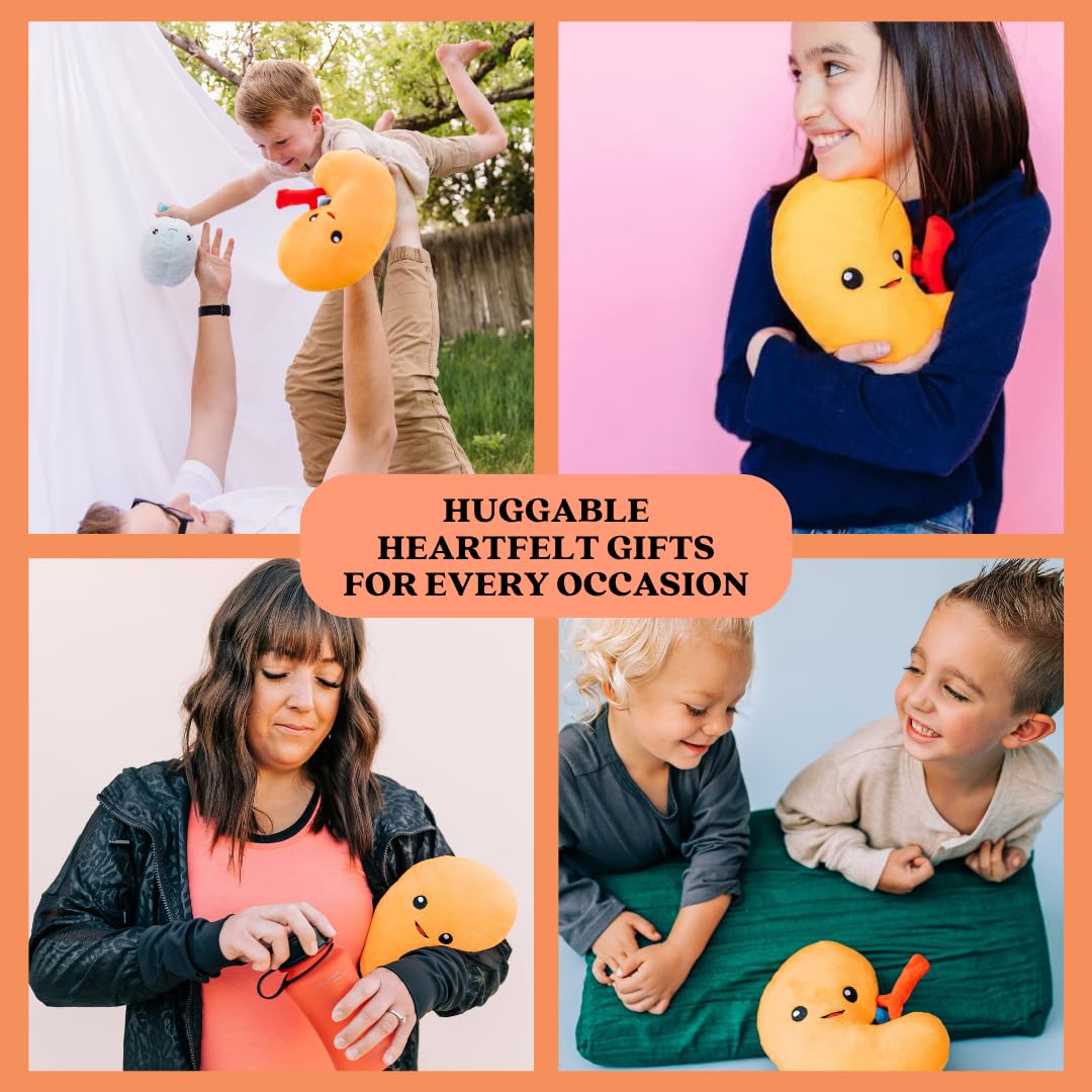 nerdbugs Kidney Plush – Friendly Urology Gift for Transplant, Dialysis Recovery & Donor Appreciation