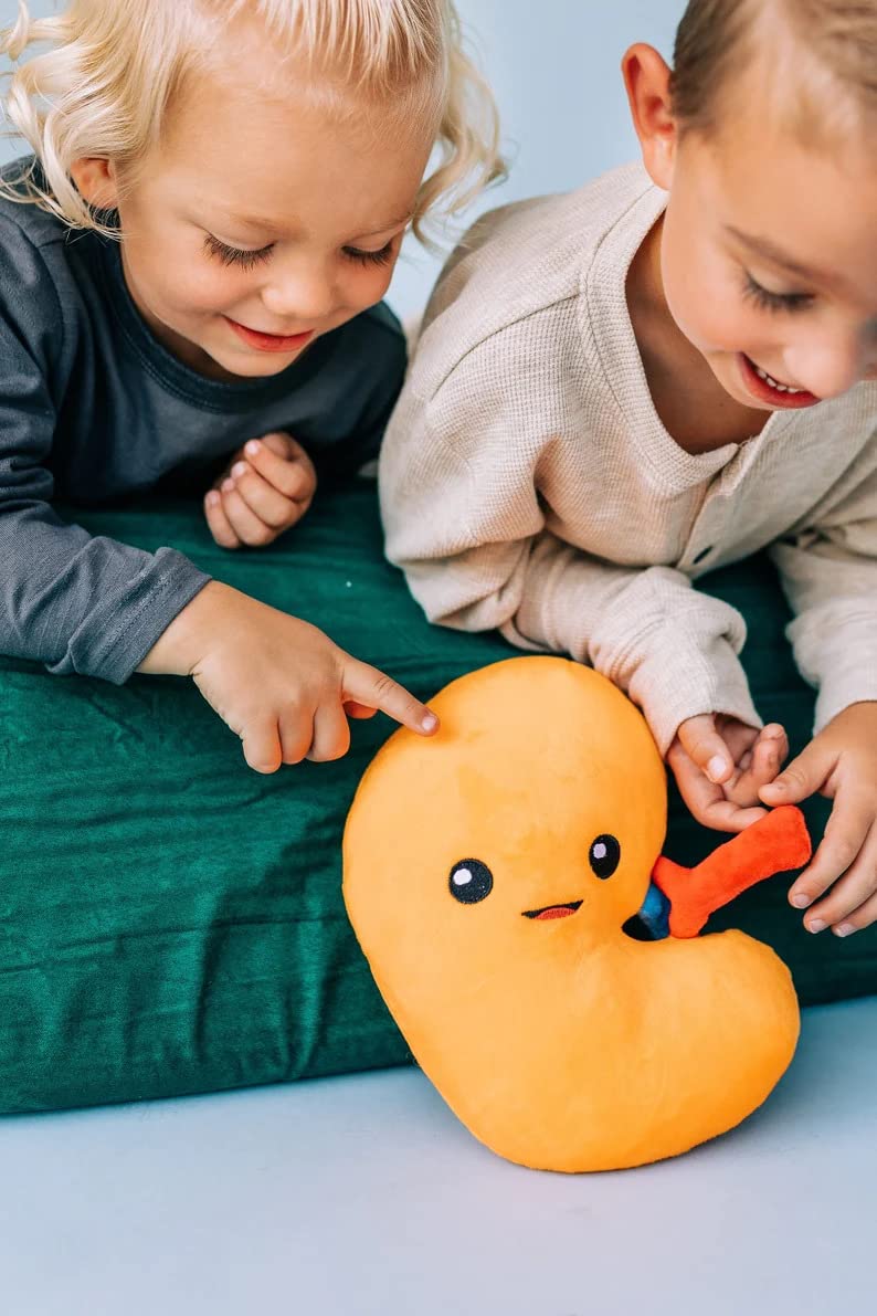 nerdbugs Kidney Plush – Friendly Urology Gift for Transplant, Dialysis Recovery & Donor Appreciation