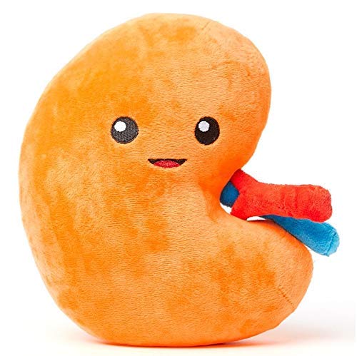 nerdbugs Kidney Plush – Friendly Urology Gift for Transplant, Dialysis Recovery & Donor Appreciation