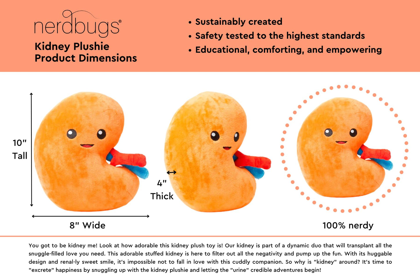nerdbugs Kidney Plush – Friendly Urology Gift for Transplant, Dialysis Recovery & Donor Appreciation